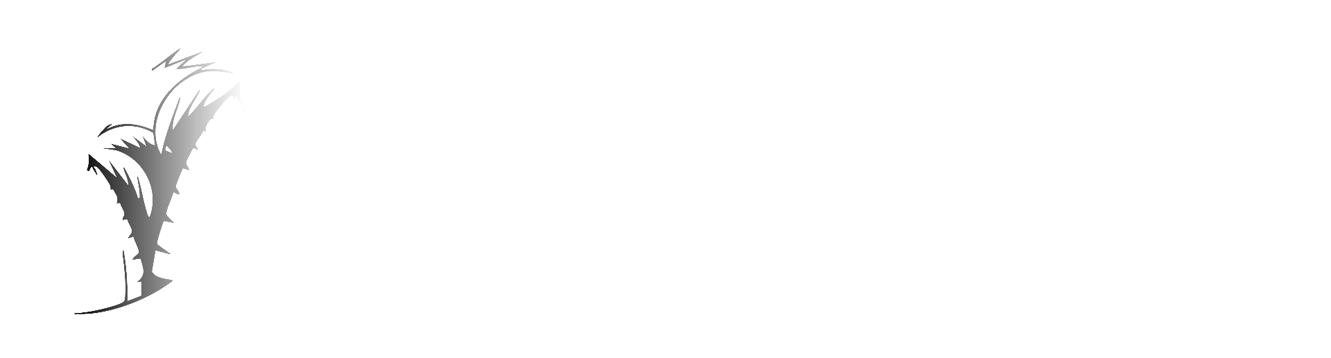 Accelerated Psychiatric Solutions